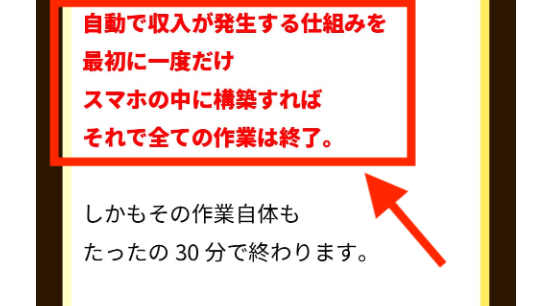 ウェルシェアの広告に記載されていた説明