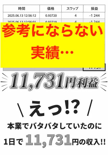 フィアナのFXの実績