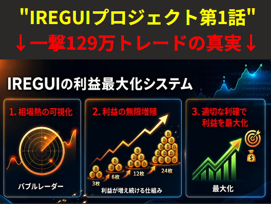 IREGUIプロジェクトのシステム